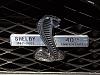 2007 Ford Shelby Mustang GT500 40th Anniversary ***pic's &amp; info***-8.jpg