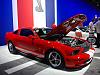 2007 Pauls High Performance Dragin Snake ***pic's &amp; info***-1.jpg