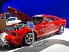 2007 Pauls High Performance Dragin Snake ***pic's &amp; info***-2.jpg