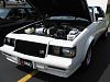 gnX X-Ray-img_1245.jpg