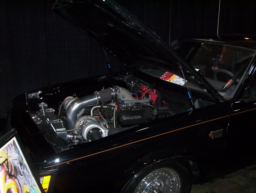 Name:  000_1135.jpg
Views: 33
Size:  64.8 KB