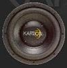 3 Mint 12" Kaption SPL1200's in Ported Box-spl1200.jpg