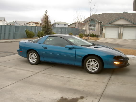 Name:  PICT0983.jpg
Views: 14
Size:  42.4 KB