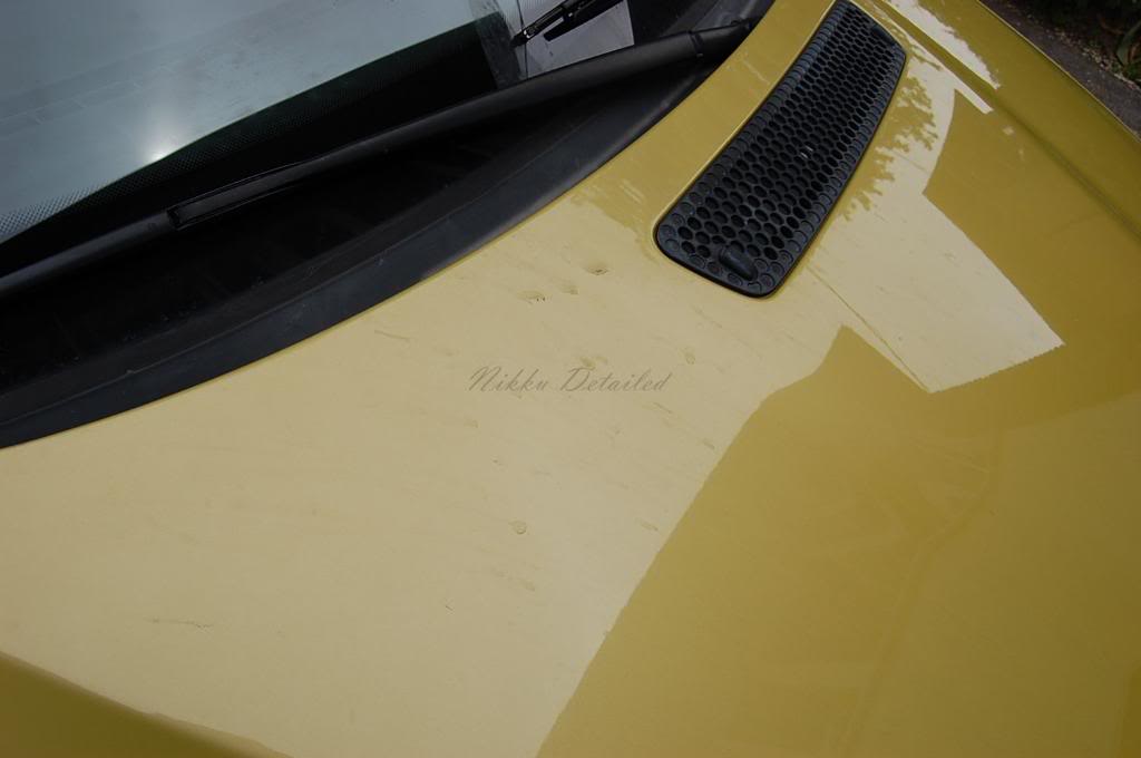 Name: DSC_1087.jpg
Views: 23
Size: 36.7 KB