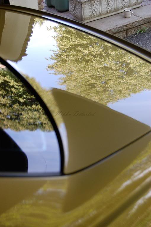 Name: DSC_1141.jpg
Views: 22
Size: 51.6 KB