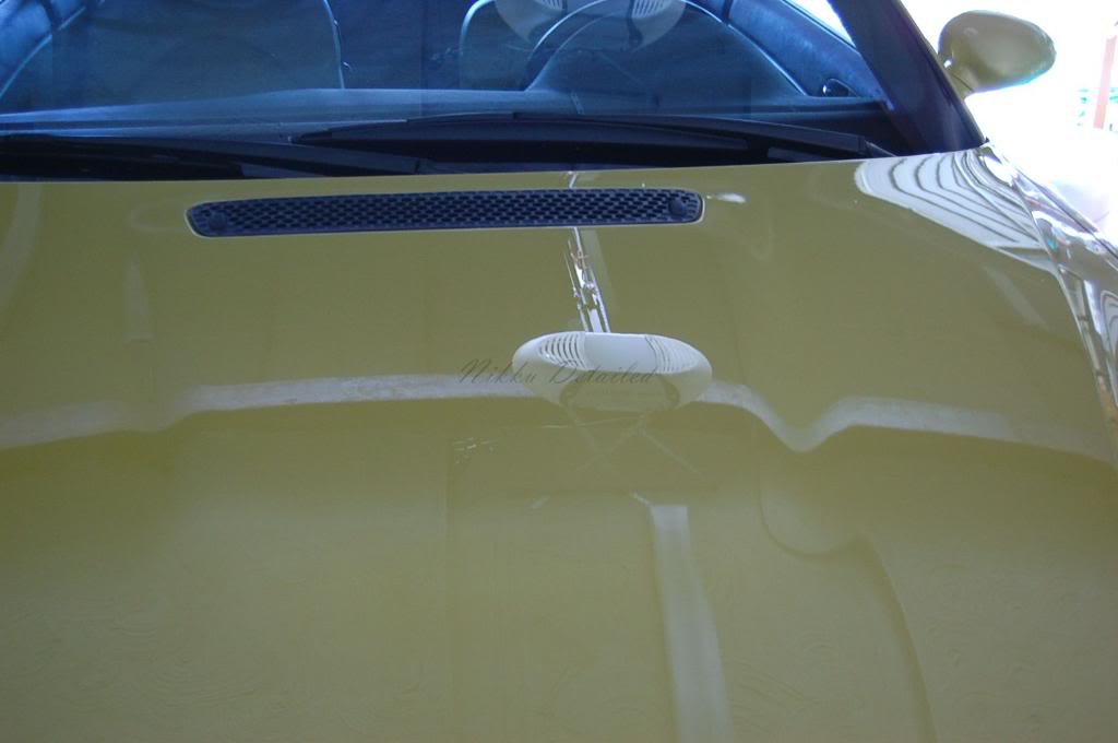 Name: DSC_1127.jpg
Views: 25
Size: 39.4 KB