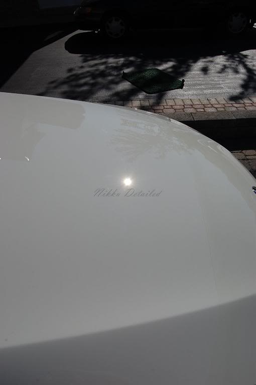 Name:  DSC_1301.jpg
Views: 17
Size:  19.3 KB