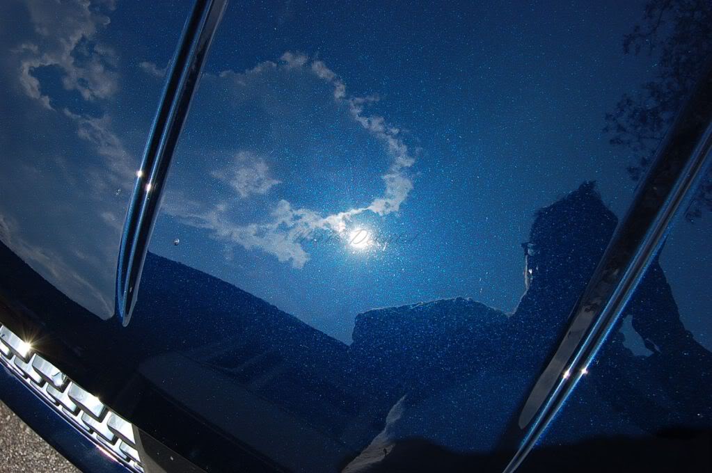 Name:  DSC_0803.jpg
Views: 19
Size:  97.6 KB