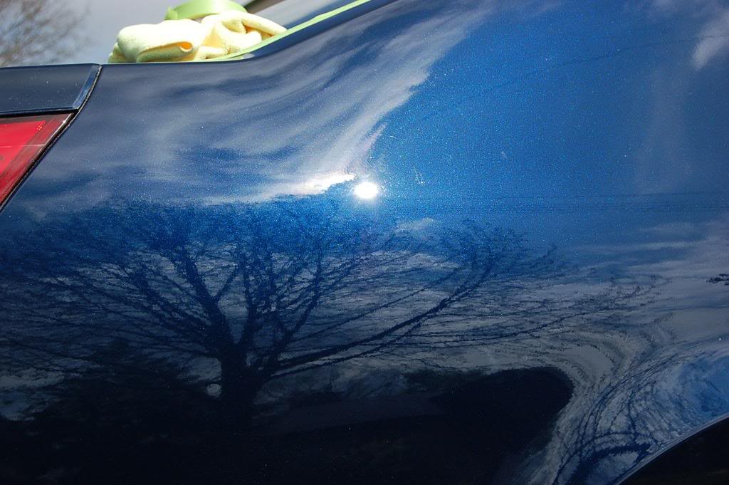 Name:  DSC_0736.jpg
Views: 12
Size:  101.3 KB