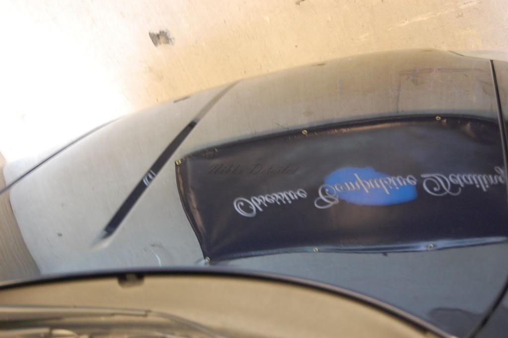 Name:  DSC_0753.jpg
Views: 16
Size:  49.6 KB