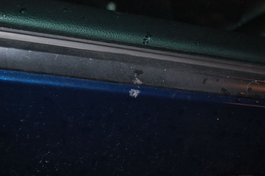 Name:  DSC_0480.jpg
Views: 12
Size:  54.5 KB