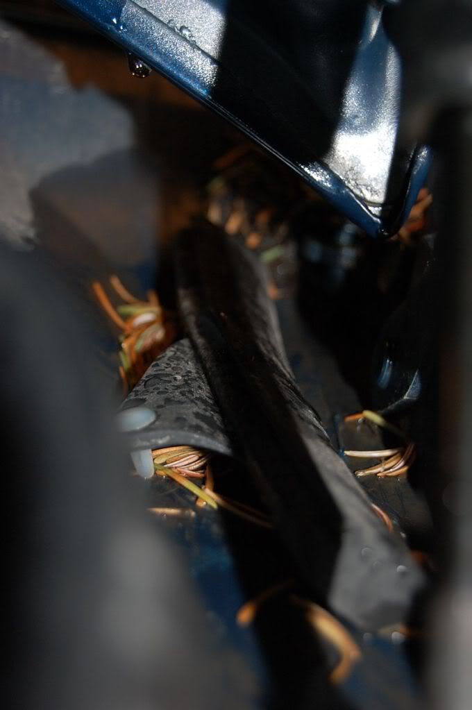 Name:  DSC_0506.jpg
Views: 13
Size:  50.2 KB