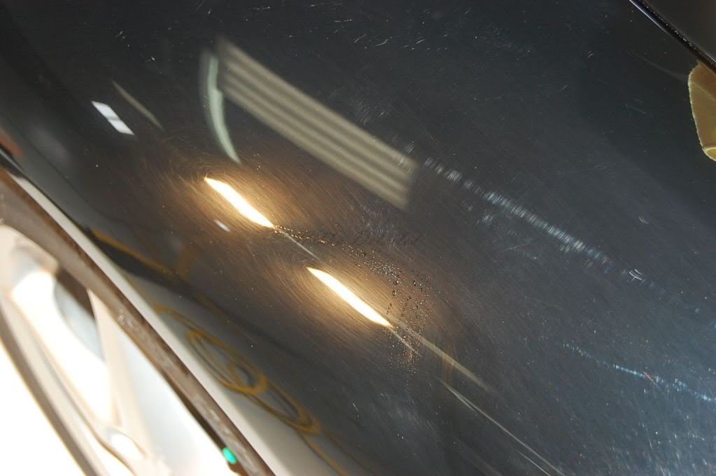 Name:  DSC_0499.jpg
Views: 11
Size:  59.8 KB