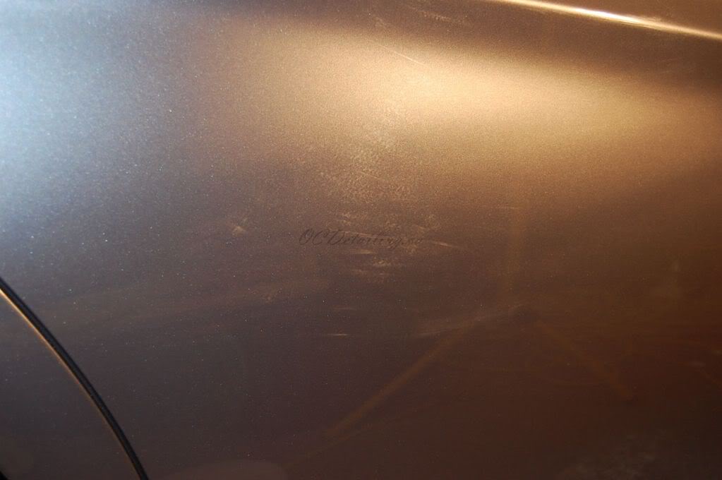 Name:  DSC_0480.jpg
Views: 19
Size:  54.1 KB