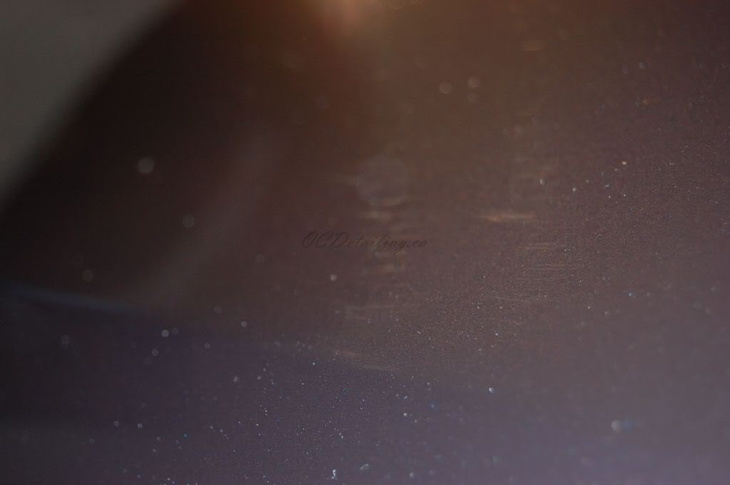 Name:  DSC_0465b.jpg
Views: 20
Size:  27.4 KB