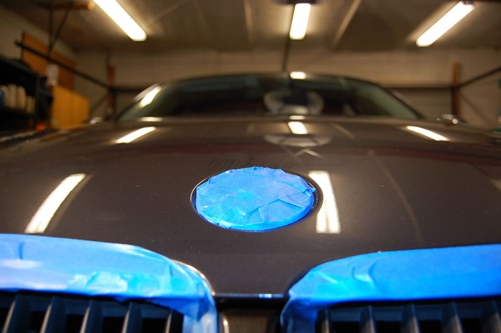 Name:  DSC_0475b.jpg
Views: 18
Size:  55.7 KB