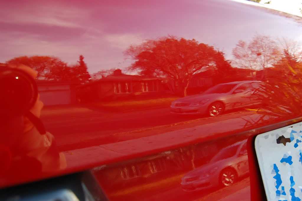 Name:  DSC_1049.jpg
Views: 18
Size:  73.9 KB