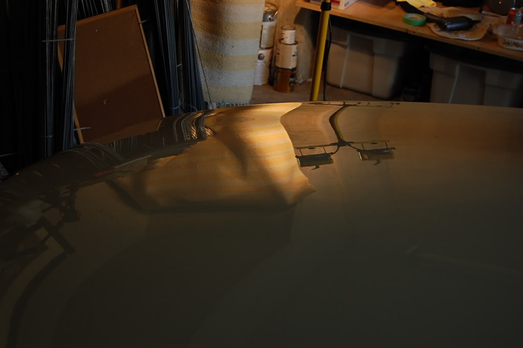 Name:  DSC_0809.jpg
Views: 24
Size:  71.7 KB