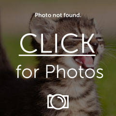 Name:  Picture289.jpg
Views: 12
Size:  14.0 KB