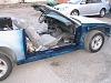went shopping-img_2253-medium-.jpg