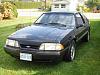1989 Ford Mustang LX 5.0L HO 5spd for sale/trade-ssl10138s.jpg