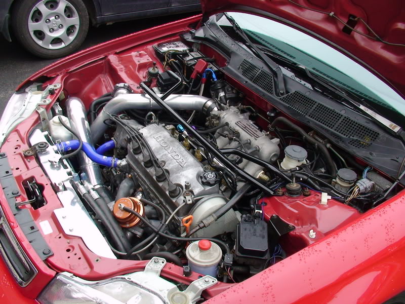 Name:  DSC00603.jpg
Views: 218
Size:  136.2 KB