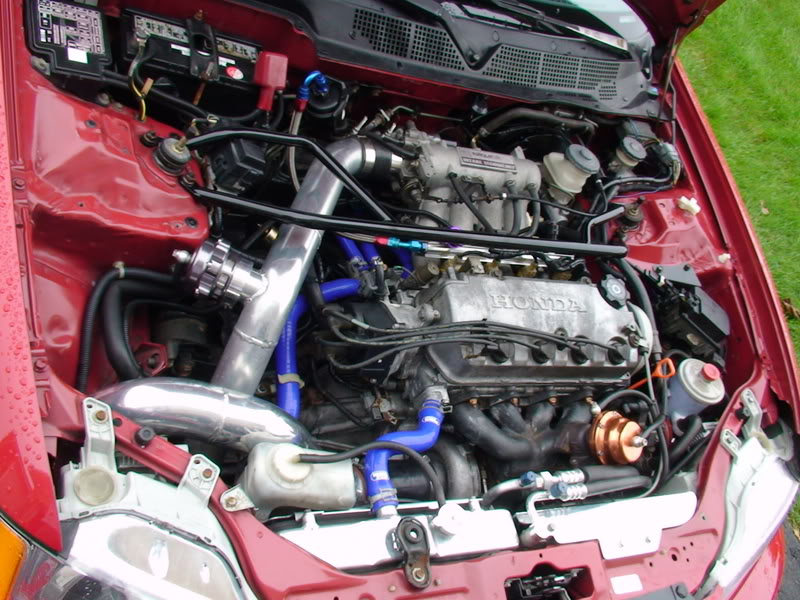 Name:  DSC00593.jpg
Views: 224
Size:  116.1 KB