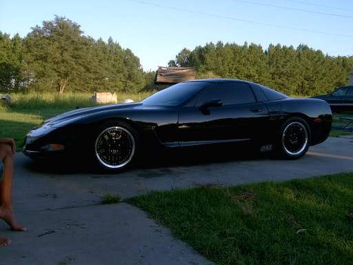 Name:  racewheels.jpg
Views: 16
Size:  37.0 KB
