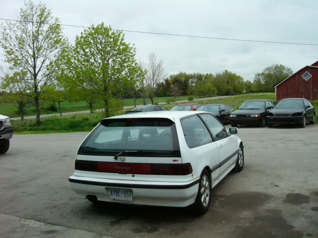 Name: Picturejune2006006.jpg
Views: 17
Size: 63.9 KB