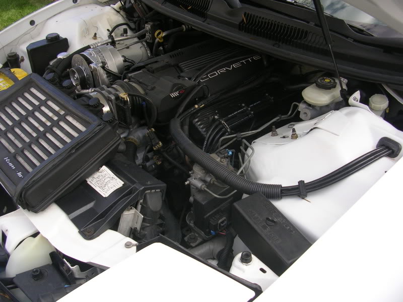 Name:  DSCN1571.jpg
Views: 23
Size:  81.6 KB