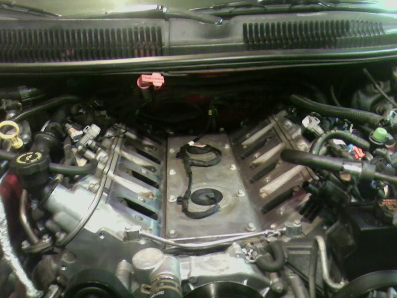 Name: SSPX0164.jpg
Views: 26
Size: 72.0 KB