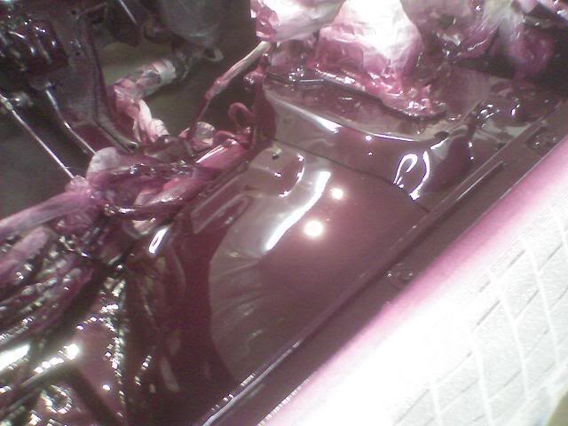 Name: nylackat2.jpg
Views: 25
Size: 39.9 KB