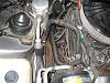 Wow thats loud-img_0552-medium-.jpg