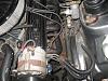 Wow thats loud-img_0551-medium-.jpg