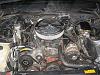Wow thats loud-img_0550-medium-.jpg