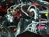 New engine bay pics!!-picture-016.jpg