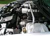 Cleaned up engine bay-cimg0653.jpg