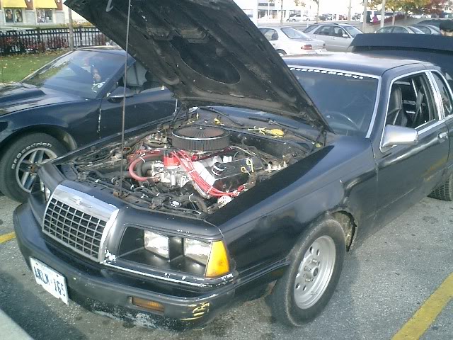 Name:  85-Tbird.jpg
Views: 61
Size:  89.1 KB