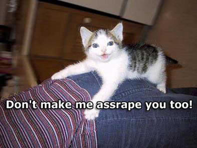 Name:  assrape.jpg
Views: 16
Size:  25.8 KB
