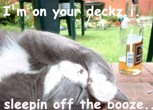 Name:  booze.jpg
Views: 14
Size:  58.0 KB