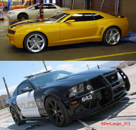 Name:  bumblebee4.jpg
Views: 26
Size:  51.9 KB