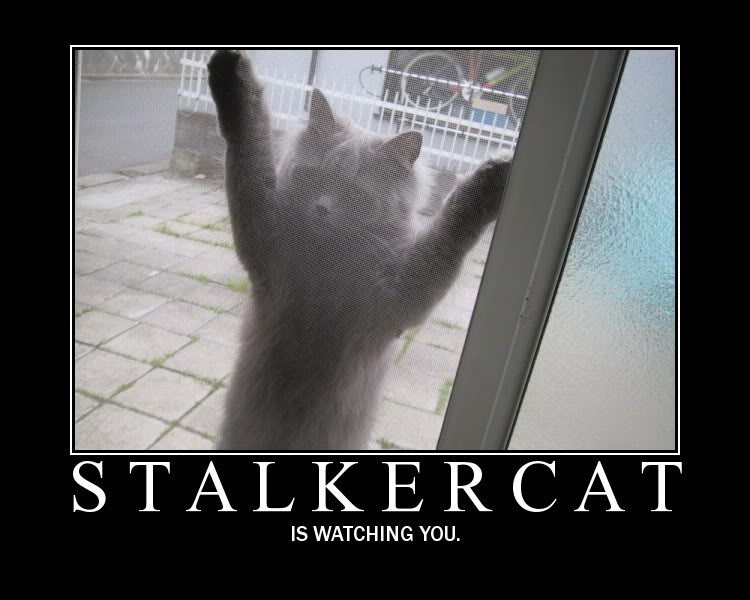 Name:  stalker.jpg
Views: 17
Size:  61.9 KB