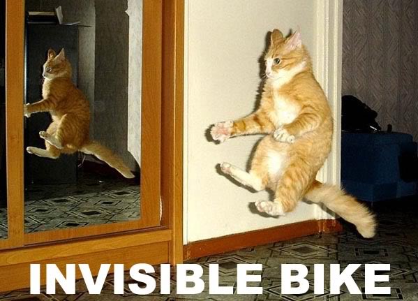 Name:  invisible.jpg
Views: 85
Size:  57.8 KB
