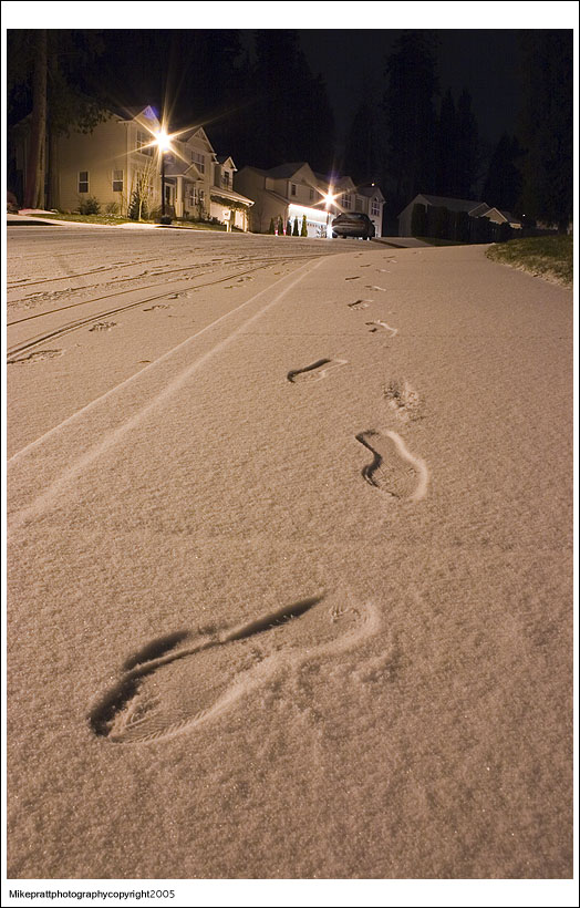 Name:  CRW_7912.jpg
Views: 12
Size:  148.2 KB