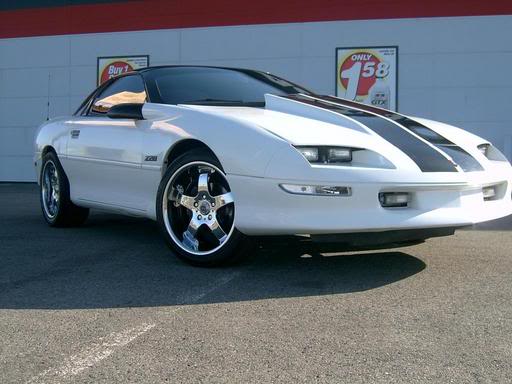 Name:  newwheels2.jpg
Views: 15
Size:  31.9 KB