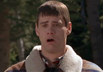 Name:  carey_gag.gif
Views: 17
Size:  811.7 KB