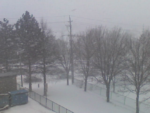 Name: 0301071620b.jpg
Views: 20
Size: 32.7 KB