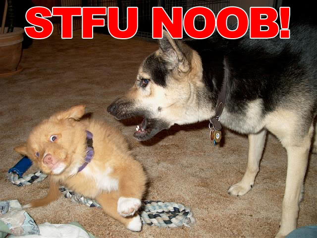 Name:  stfunoob.jpg
Views: 15
Size:  67.4 KB