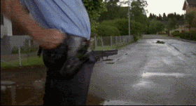 Name:  copthrustgun.gif
Views: 10
Size:  194.7 KB