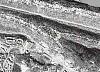 Satellite Image Fun-adam.jpg